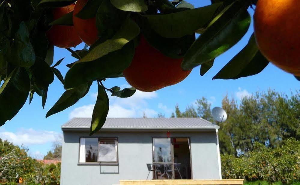 Relax A Lodge Kerikeri Εξωτερικό φωτογραφία